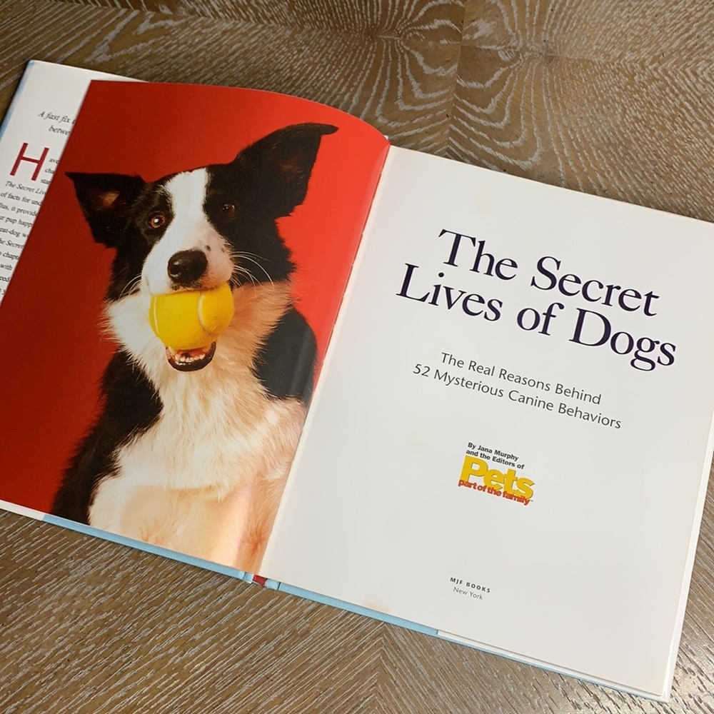 PETS The Secret Lives of Dogs Real Reasons Behind 52 Mysterious Behavior Book - Picture 5 of 15